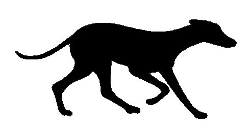 loading